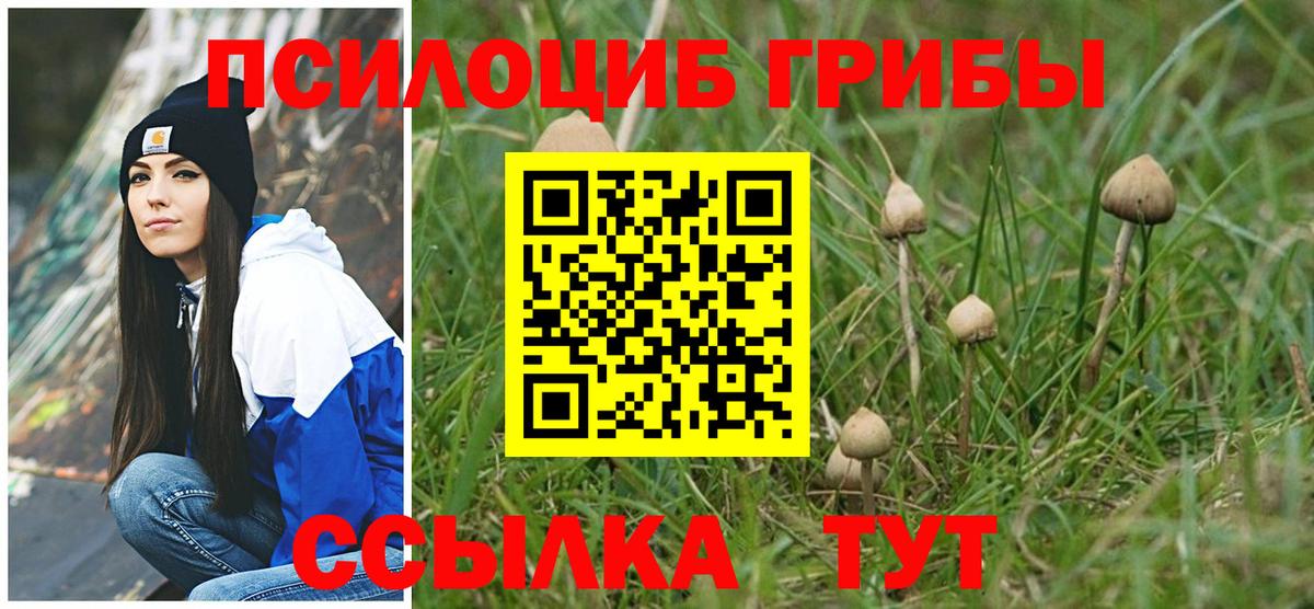 Галлюциногенные грибы Magic Shrooms Воткинск